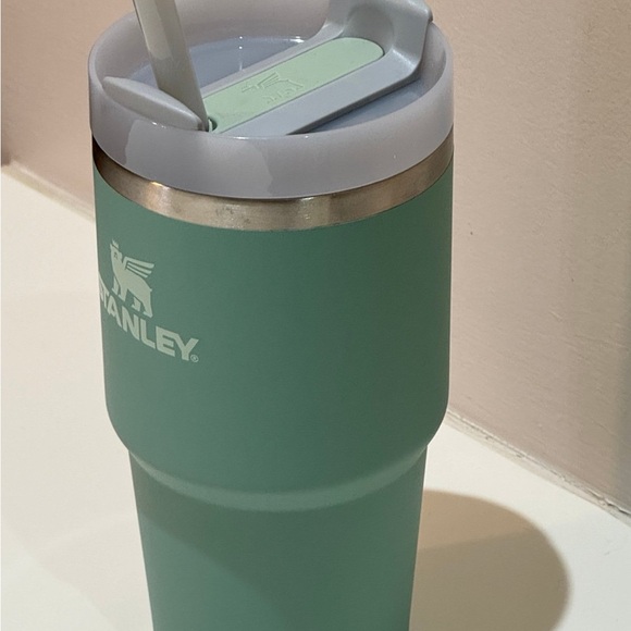 Stanley Flowstate Eucalyptus 20oz Tumbler - Picture 5 of 5